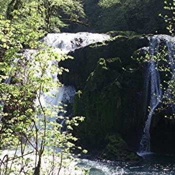 Le grand saut - RENEDALE